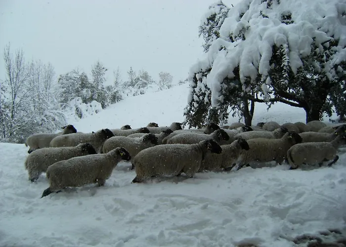 Agriturismo Maso Santa Libera Tesero